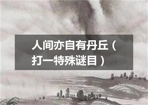 人间亦自有丹丘（打一特殊谜目）