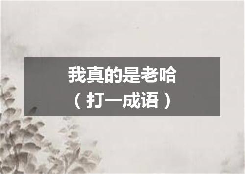 我真的是老哈（打一成语）