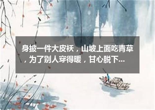 身披一件大皮袄，山坡上面吃青草，为了别人穿得暖，甘心脱下自己毛。（打一动物）