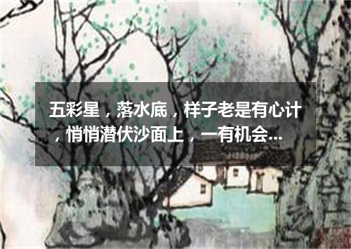 五彩星，落水底，样子老是有心计，悄悄潜伏沙面上，一有机会搞袭击。（打一动物）