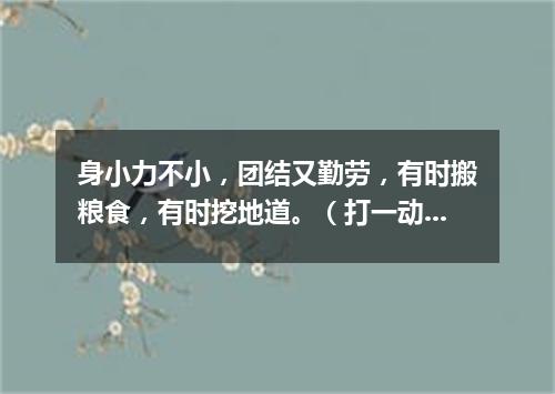 身小力不小，团结又勤劳，有时搬粮食，有时挖地道。（打一动物）