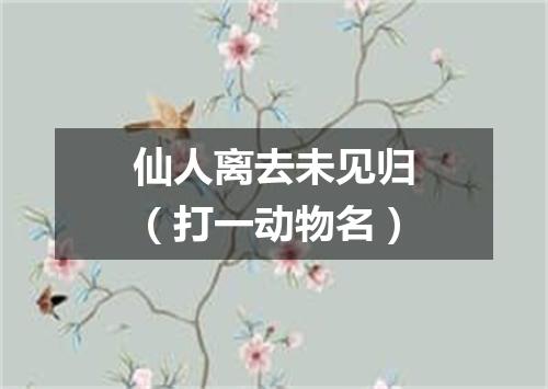 仙人离去未见归（打一动物名）