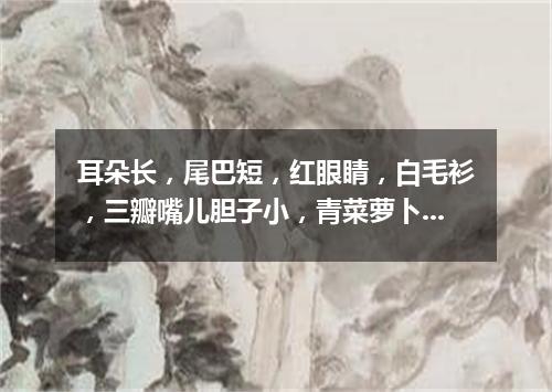 耳朵长，尾巴短，红眼睛，白毛衫，三瓣嘴儿胆子小，青菜萝卜吃个饱。（打一动物）