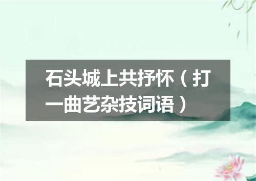 石头城上共抒怀（打一曲艺杂技词语）