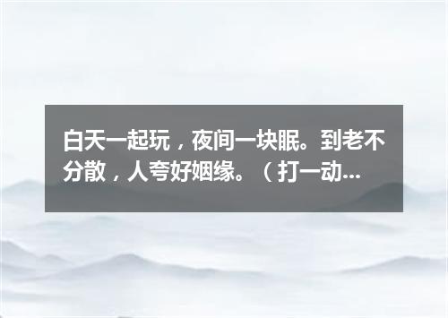 白天一起玩，夜间一块眠。到老不分散，人夸好姻缘。（打一动物）
