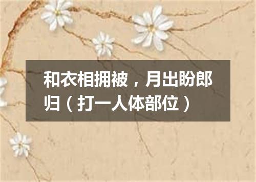 和衣相拥被，月出盼郎归（打一人体部位）