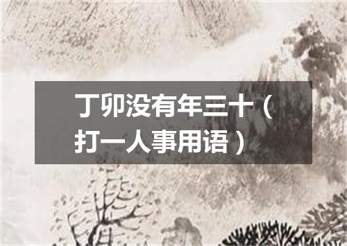 丁卯没有年三十（打一人事用语）