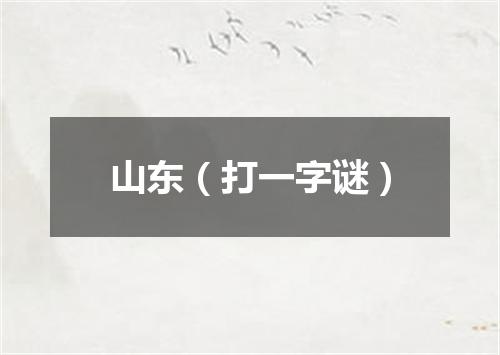 山东（打一字谜）