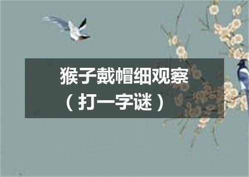 猴子戴帽细观察（打一字谜）