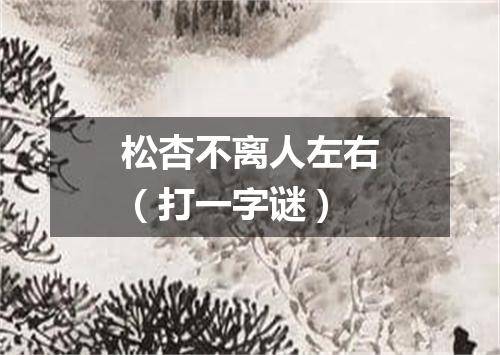 松杏不离人左右（打一字谜）