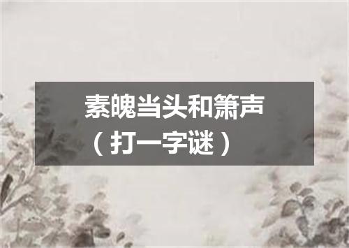 素魄当头和箫声（打一字谜）