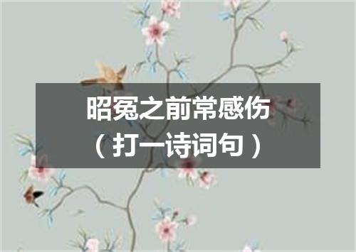 昭冤之前常感伤（打一诗词句）
