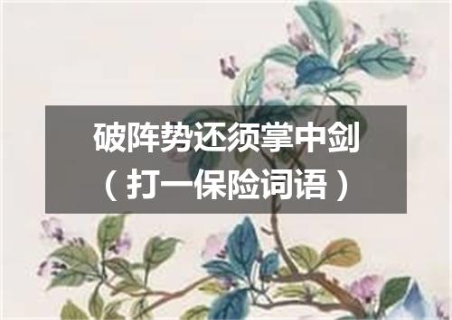 破阵势还须掌中剑（打一保险词语）