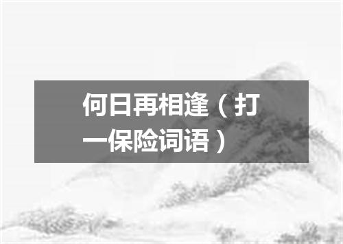 何日再相逢（打一保险词语）