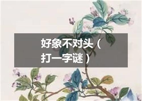 好象不对头（打一字谜）