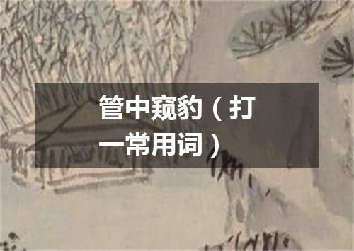 管中窥豹（打一常用词）