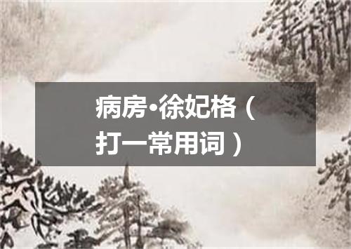 病房·徐妃格（打一常用词）