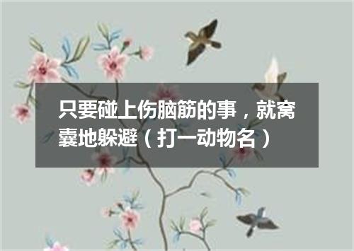 只要碰上伤脑筋的事，就窝囊地躲避（打一动物名）