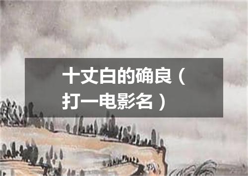 十丈白的确良（打一电影名）