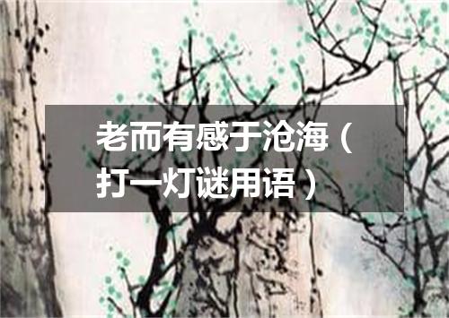 老而有感于沧海（打一灯谜用语）