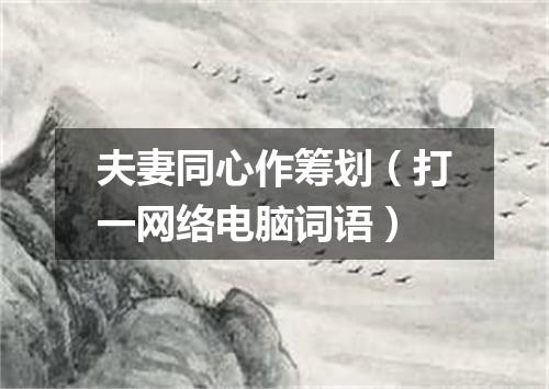 夫妻同心作筹划（打一网络电脑词语）