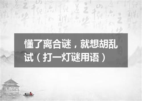 懂了离合谜，就想胡乱试（打一灯谜用语）