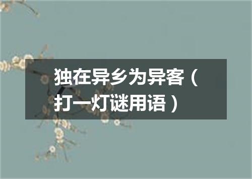 独在异乡为异客（打一灯谜用语）