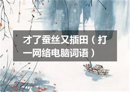 才了蚕丝又插田（打一网络电脑词语）