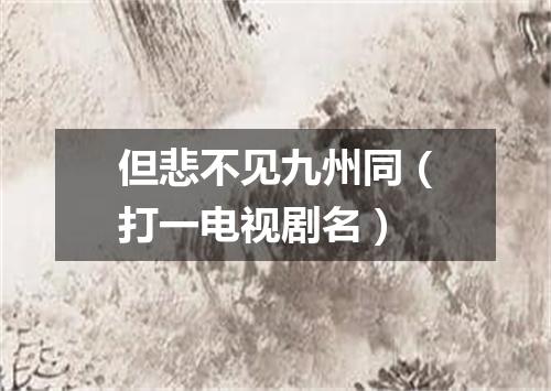 但悲不见九州同（打一电视剧名）
