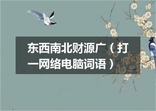 东西南北财源广（打一网络电脑词语）