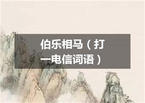 伯乐相马（打一电信词语）