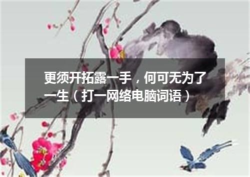 更须开拓露一手，何可无为了一生（打一网络电脑词语）