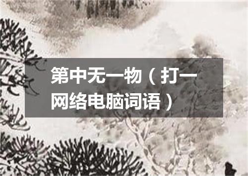 第中无一物（打一网络电脑词语）
