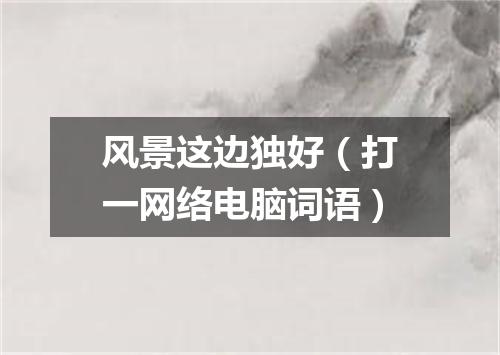 风景这边独好（打一网络电脑词语）
