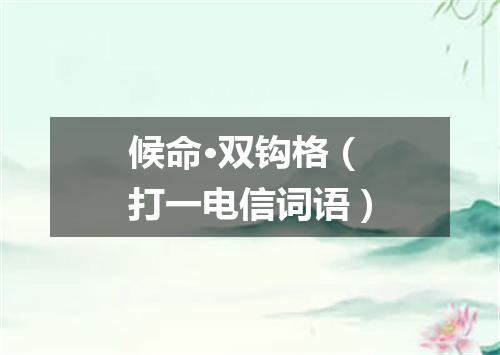 候命·双钩格（打一电信词语）