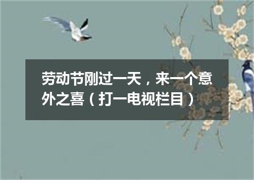 劳动节刚过一天，来一个意外之喜（打一电视栏目）