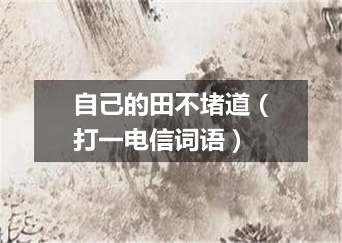 自己的田不堵道（打一电信词语）