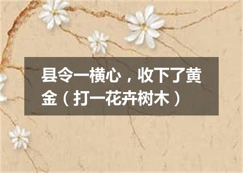 县令一横心，收下了黄金（打一花卉树木）