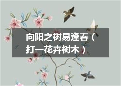 向阳之树易逢春（打一花卉树木）