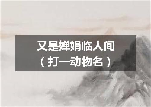 又是婵娟临人间（打一动物名）