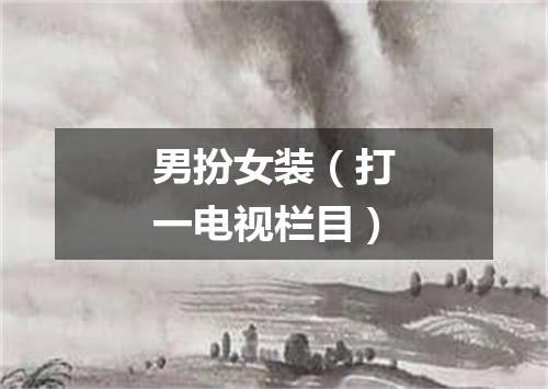 男扮女装（打一电视栏目）