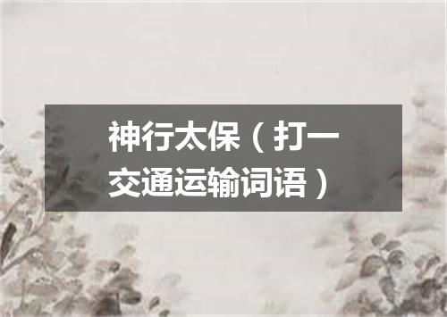 神行太保（打一交通运输词语）
