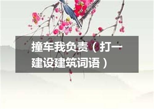 撞车我负责（打一建设建筑词语）
