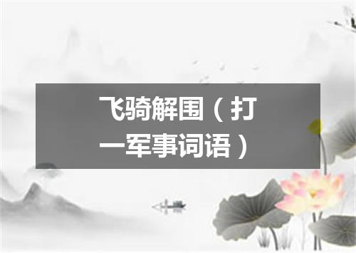 飞骑解围（打一军事词语）