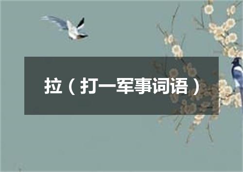 拉（打一军事词语）