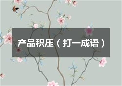 产品积压（打一成语）