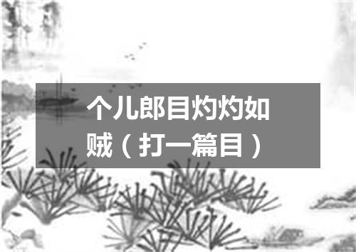 个儿郎目灼灼如贼（打一篇目）