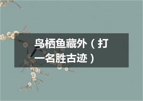 鸟栖鱼藏外（打一名胜古迹）