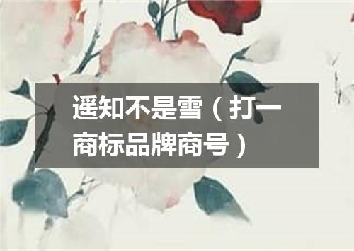 遥知不是雪（打一商标品牌商号）
