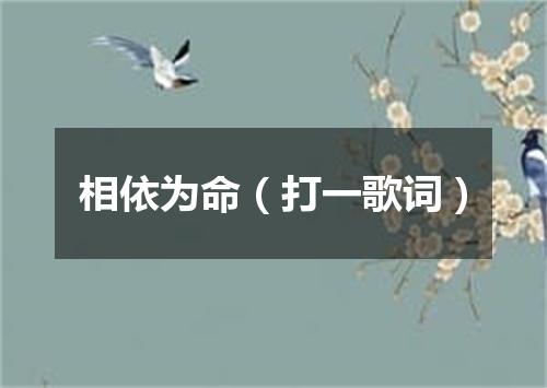 相依为命（打一歌词）